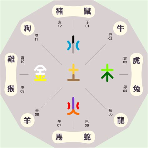 芷 五行|芷字的五行是什么,芷的五行属性及吉利寓意